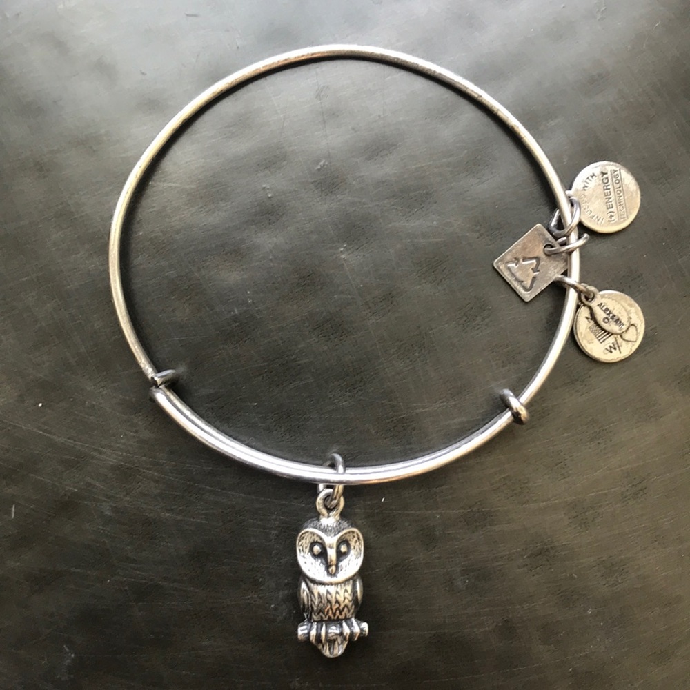 Alex and Ani owl bangle bracelet in silver